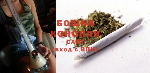 гашик Балахна