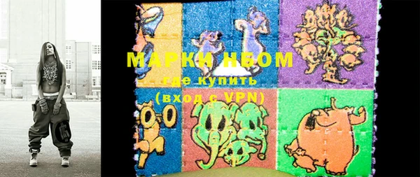 гашик Балахна