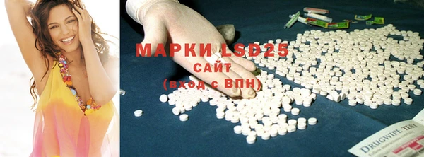 гашик Балахна